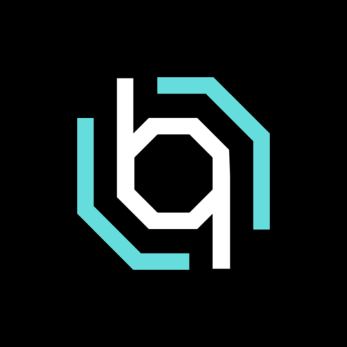 program image