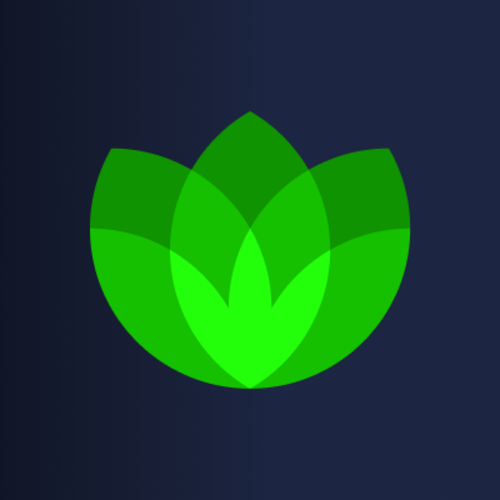 program image