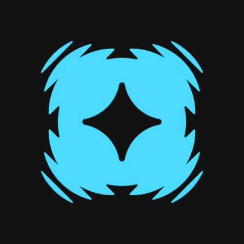 program image