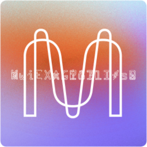 program image