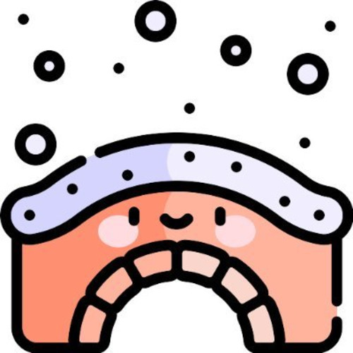 Snowbridge Web logo