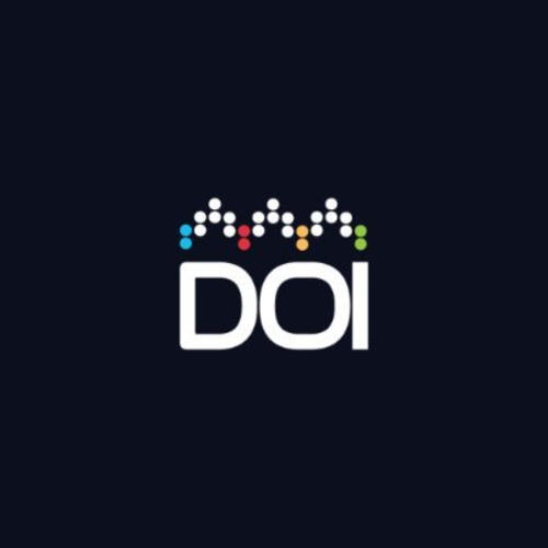 program image