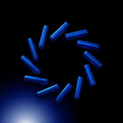 program image